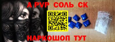 гашик Кингисепп