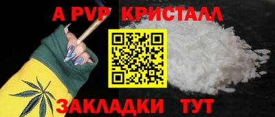гашик Кингисепп