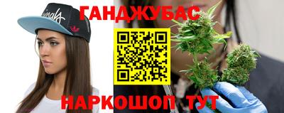 гашик Кингисепп