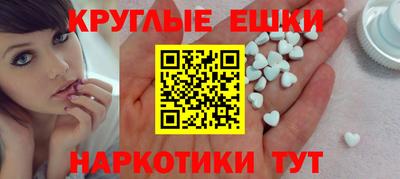 гашик Кингисепп