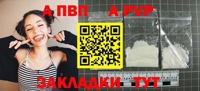 гашик Кингисепп