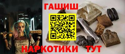 гашик Кингисепп