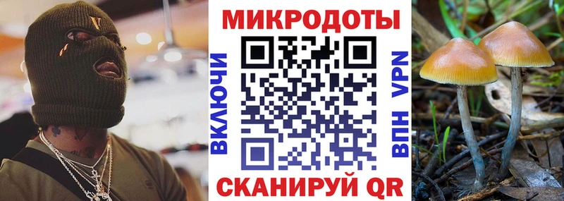 Галлюциногенные грибы прущие грибы  Кулебаки 
