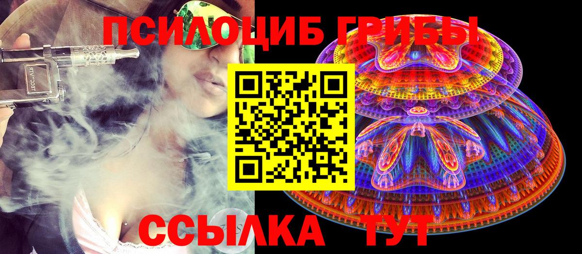 Галлюциногенные грибы ЛСД  Галлюциногенные грибы прущие грибы  Вход с VPN  Кулебаки 