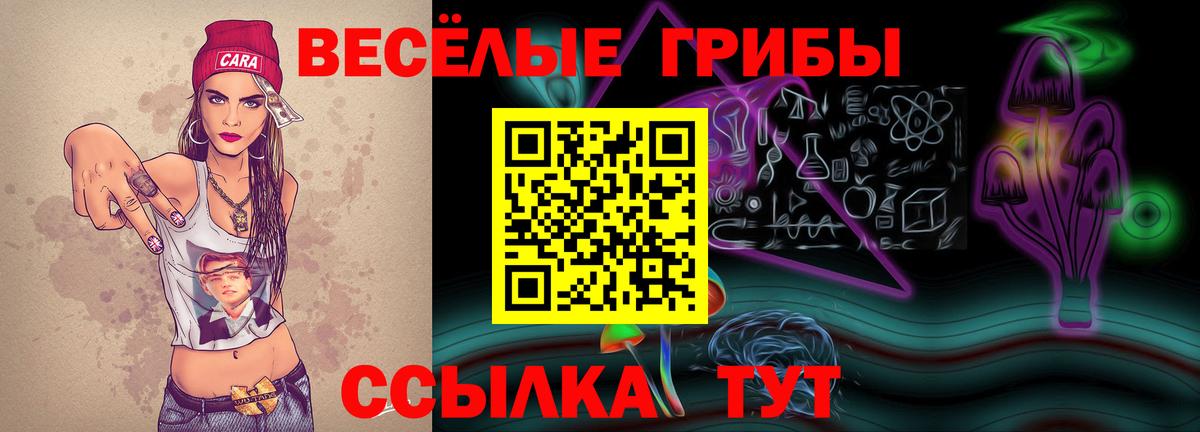 Псилоцибиновые грибы мицелий Кулебаки